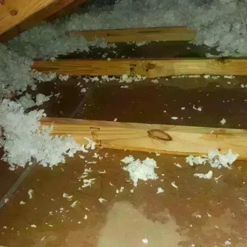 Attic Water Damage in Pittsville, MD