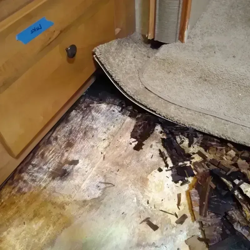 Wood Floor Water Damage in Pittsville, MD